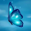 Riso da Borboleta! 🦋