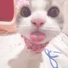 rx_bintaa