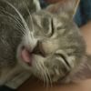 maddy.tootles