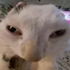 luvylu.0