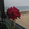 hajar.ib6