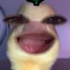 urgurl_82