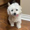 funwfluffster