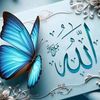 allah.has.a.better.plane