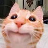 sớm được nghỉ hưu.