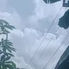 estelajadion