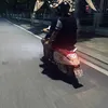 ninlc16