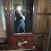pich08523