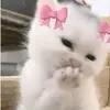 nad_10124