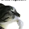 no45_f