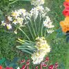 user9057681923042