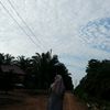 al_anisasftri