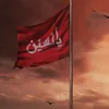shabbar.naqvi98_27