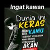 frenq493