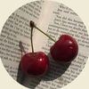 none_0535712