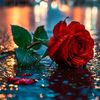 loveyoujani5000