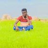ahmed.haroun286