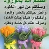 iman03902