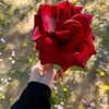 user6618850325082
