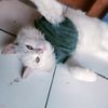 kahisha.nur.saffi