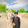 syed.naeem.abbas51