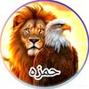 ali.hamza.078638