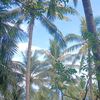 kerlip.bintang