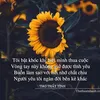 user3756315888358