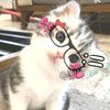 _ainiinia23_