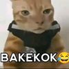_raojhbb9