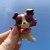 lpsfrenchie3