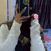 hibo.maxmed62