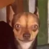 milumilinio
