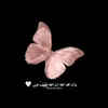 6.kdj_6721