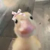 miiia_cp