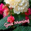 user12196822244007