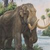 mastodont.kyiv