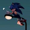 sgsonic1
