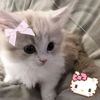 rabykliagmail.com