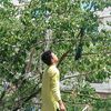 mohammad.rishad64