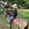 tarcsio.ferreira6