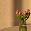 donia.kamal35