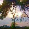 rahul_21.1