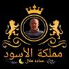 user4528032549819