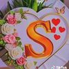 user4381308229095