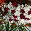 laleee_ll6565