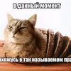 ilusha2_