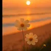 dd087451h3e