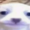 felix_mike5