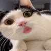 simplymanu3